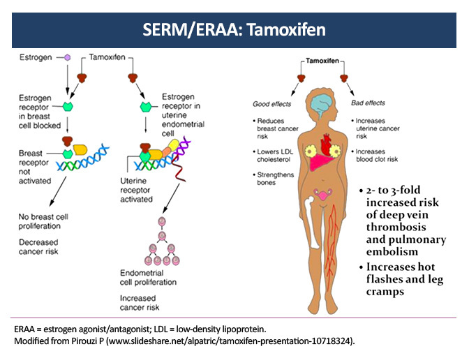 endometrial cancer from tamoxifen)